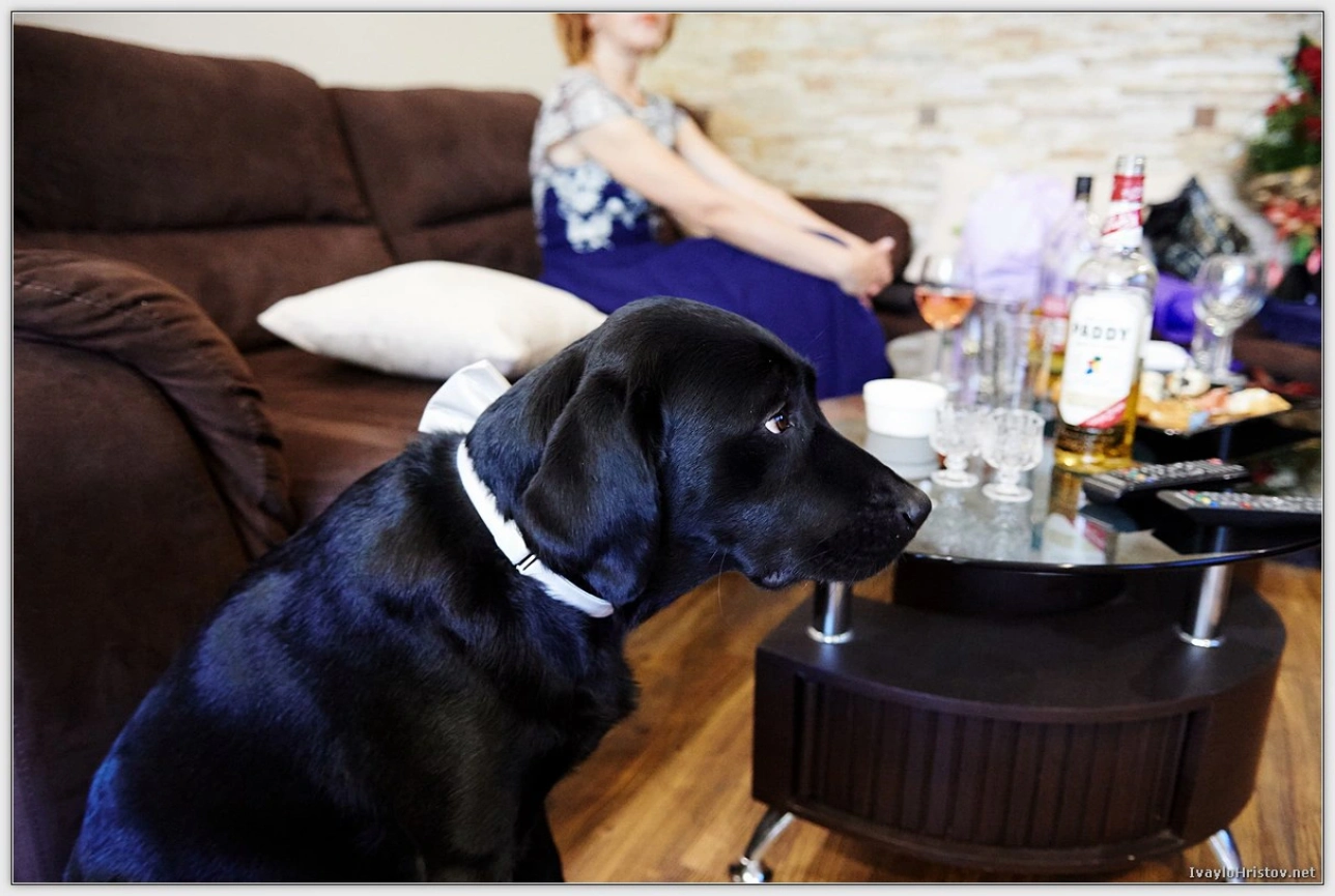 svatbena-fotografiya-kd-0052