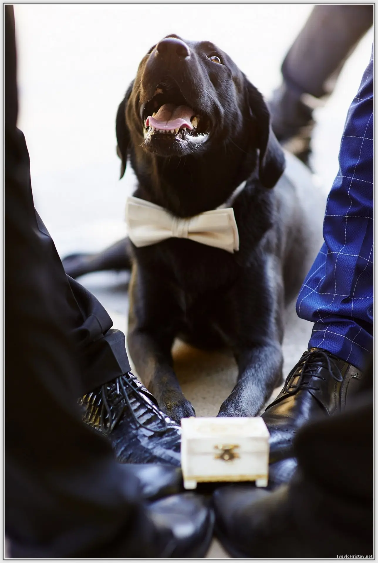 сватбена_фотография_KD_0194