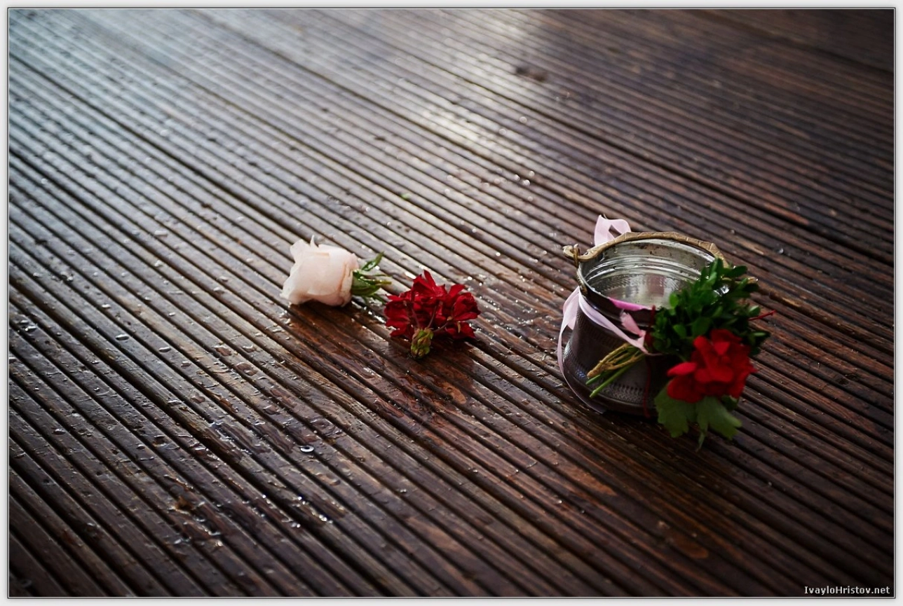 svatbena-fotografiya-ik-0231