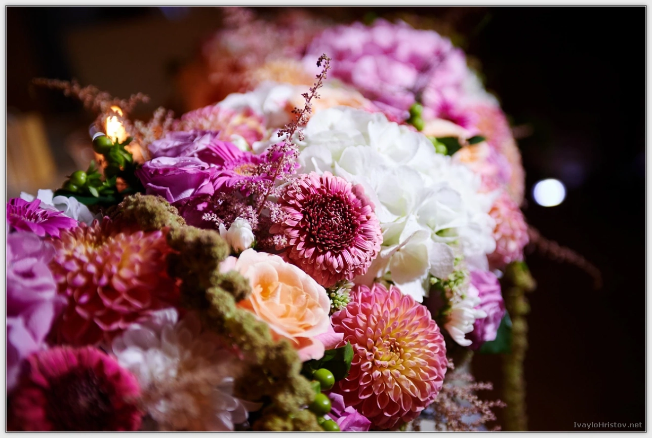 svatba_Haskovo _0290