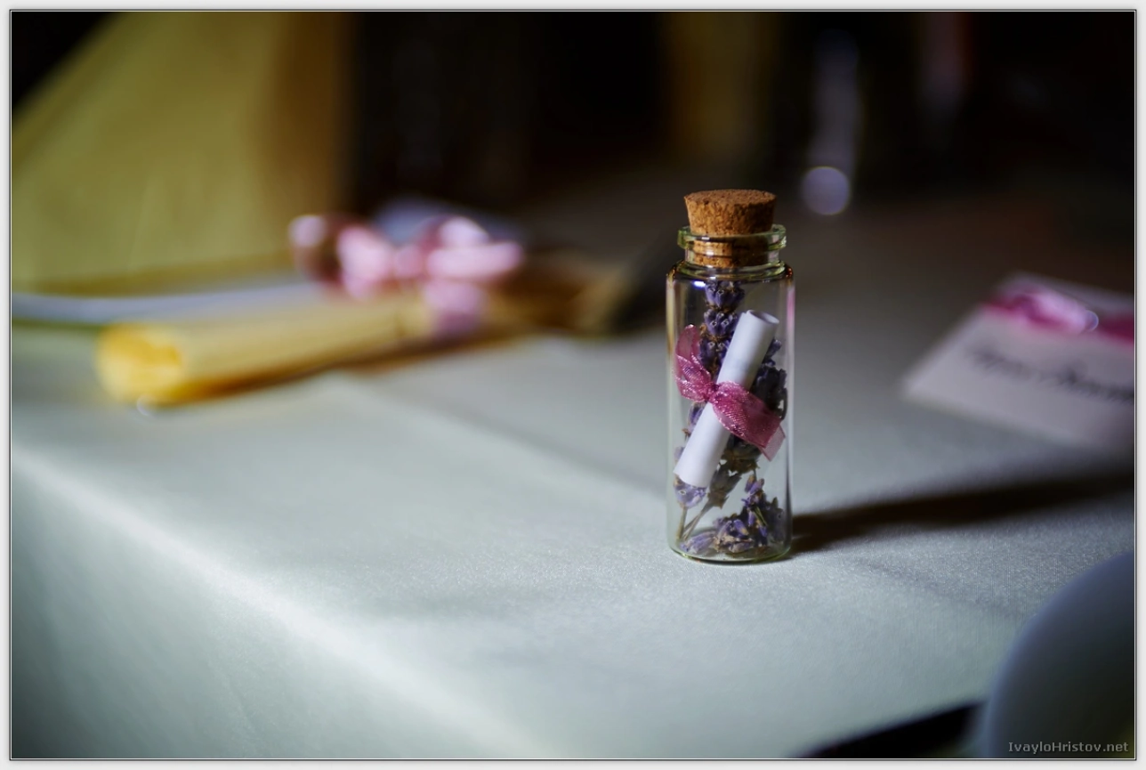 svatba_Haskovo _0293