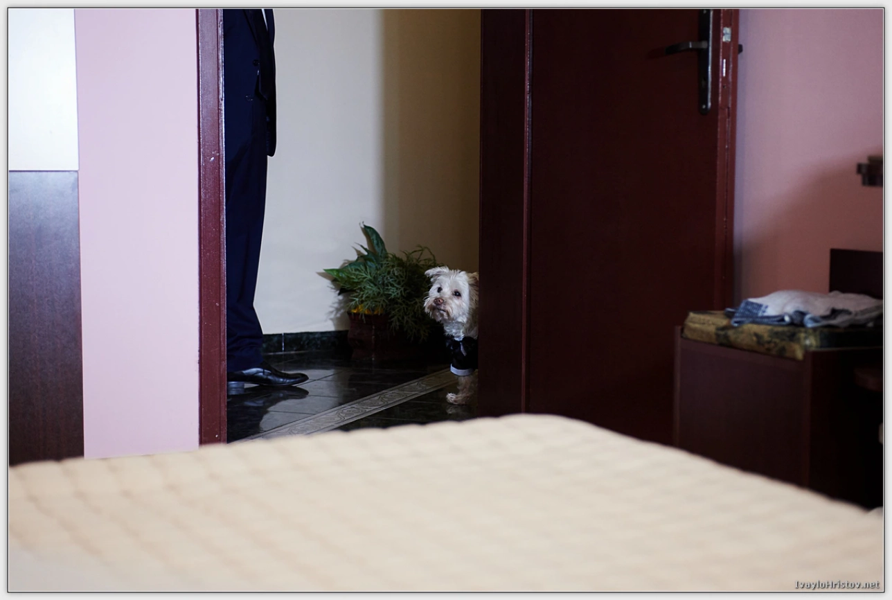 Svatbeni_Montana_0004