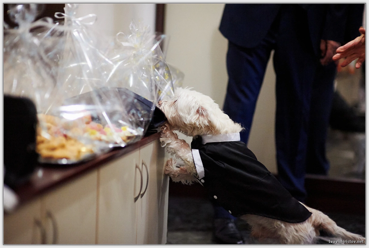 Svatbeni_Montana_0005