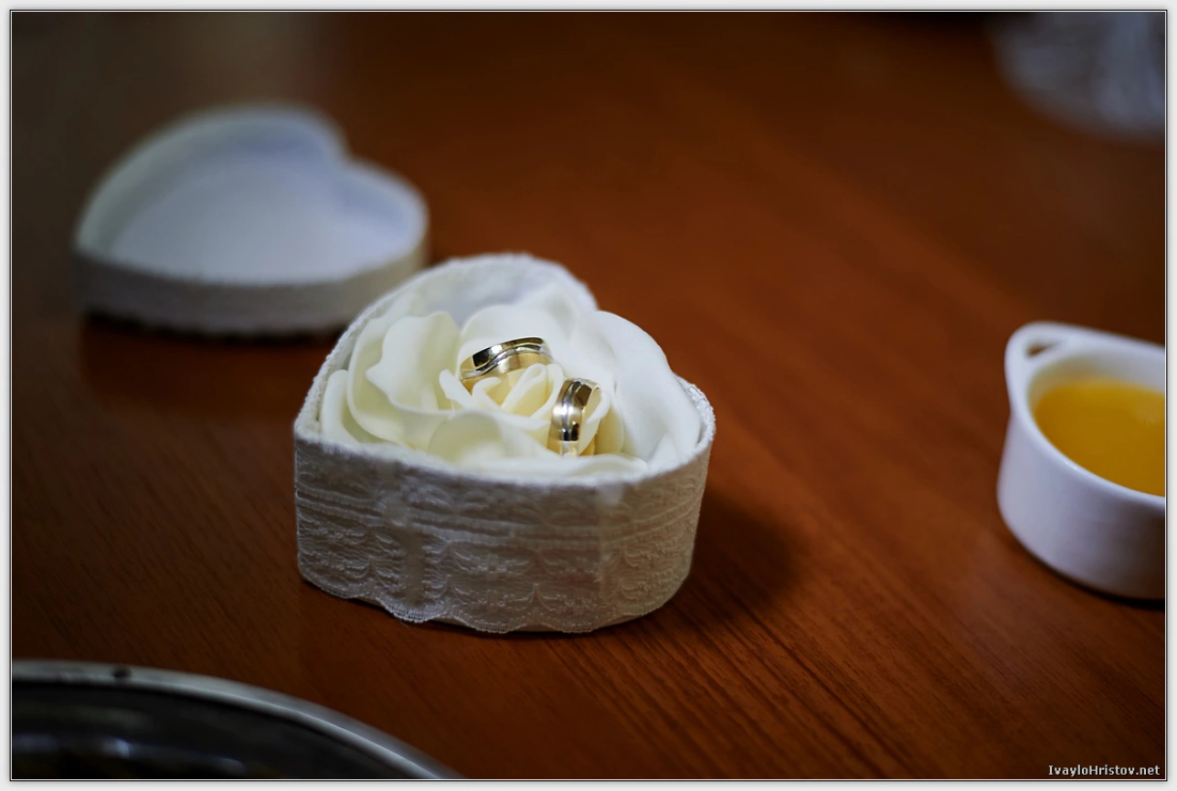 Svatbeni_Montana_0089