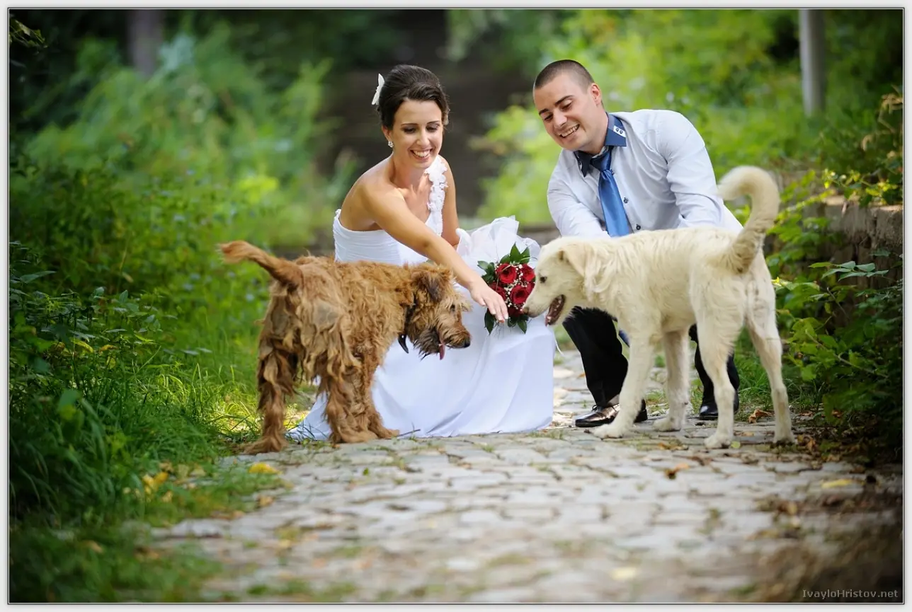 Biliana_Georgi_120_2014