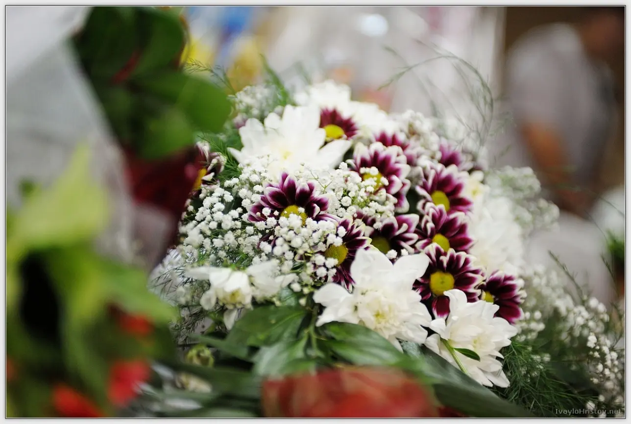 Biliana_Georgi_199_2014