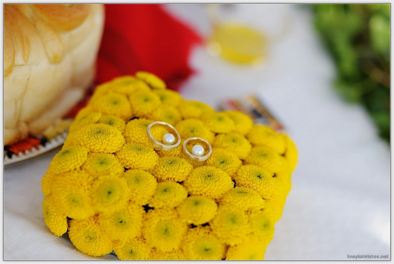 klavdia-viktorl-217-2014