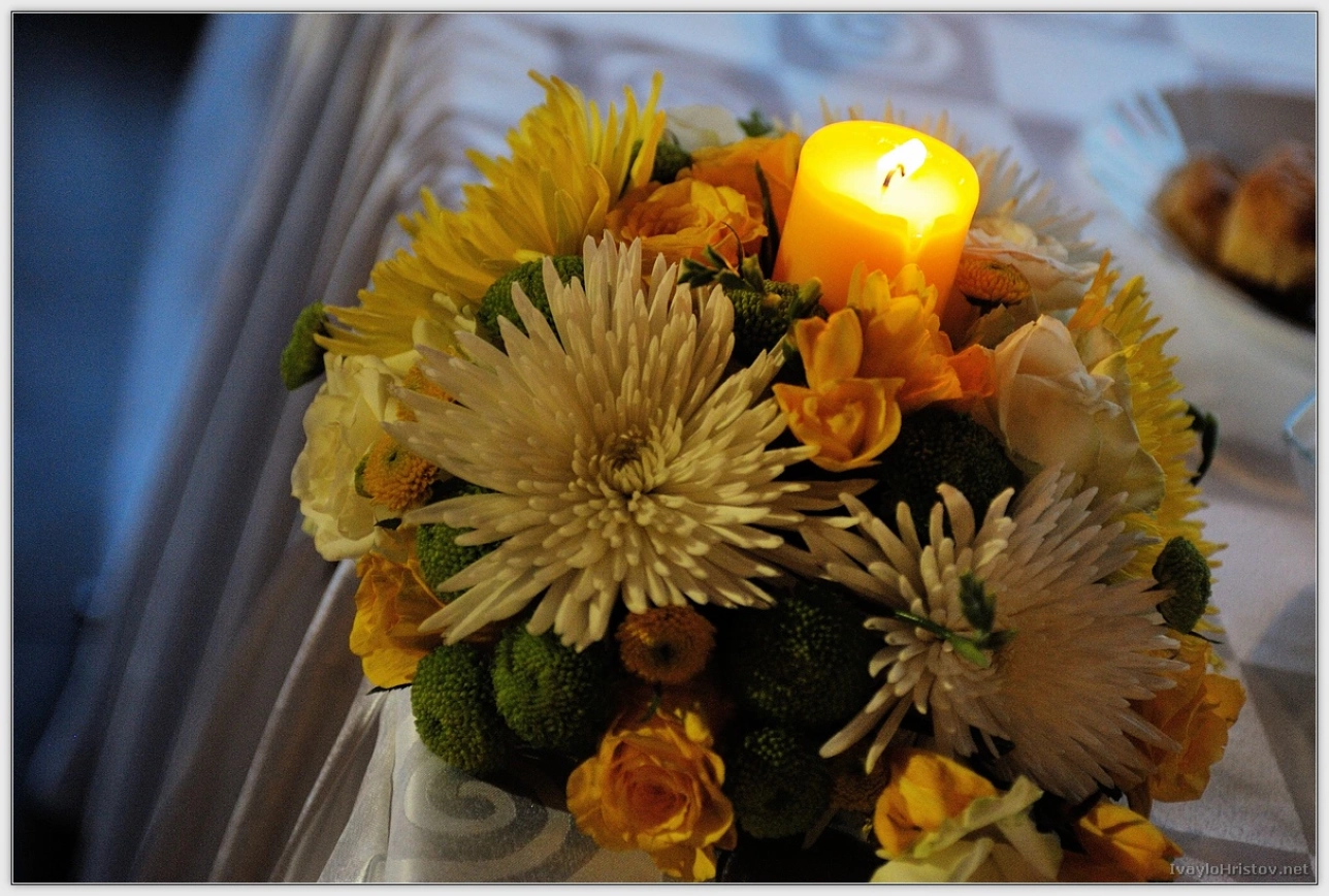 klavdia-viktorl-253-2014