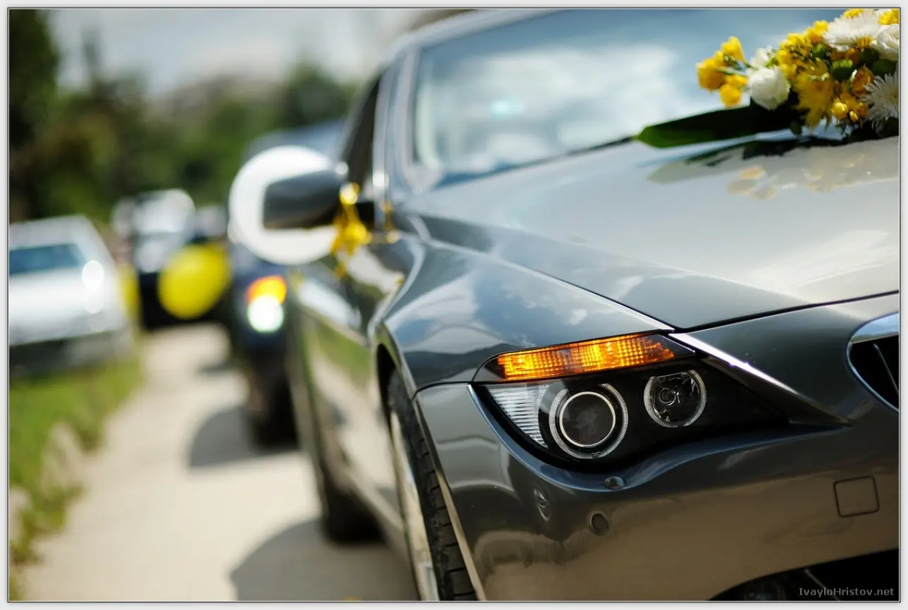 Klavdia_Viktorl_098_2014