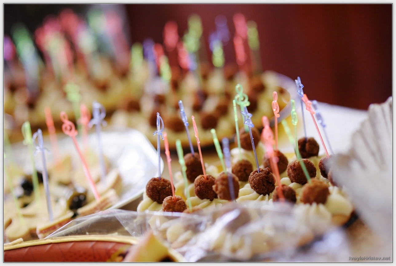 ralica-svetozar-010-2014