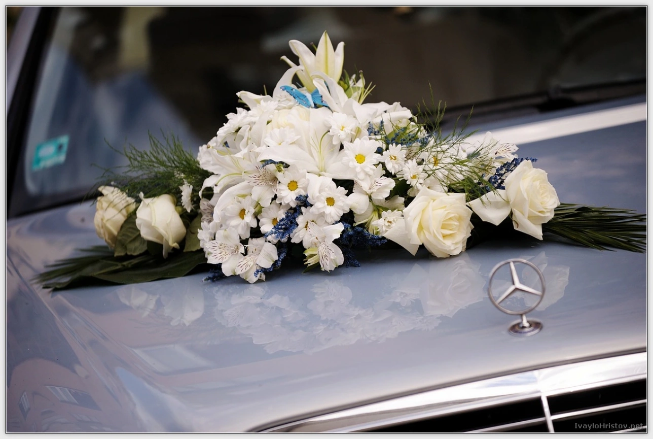 ralica-svetozar-039-2014