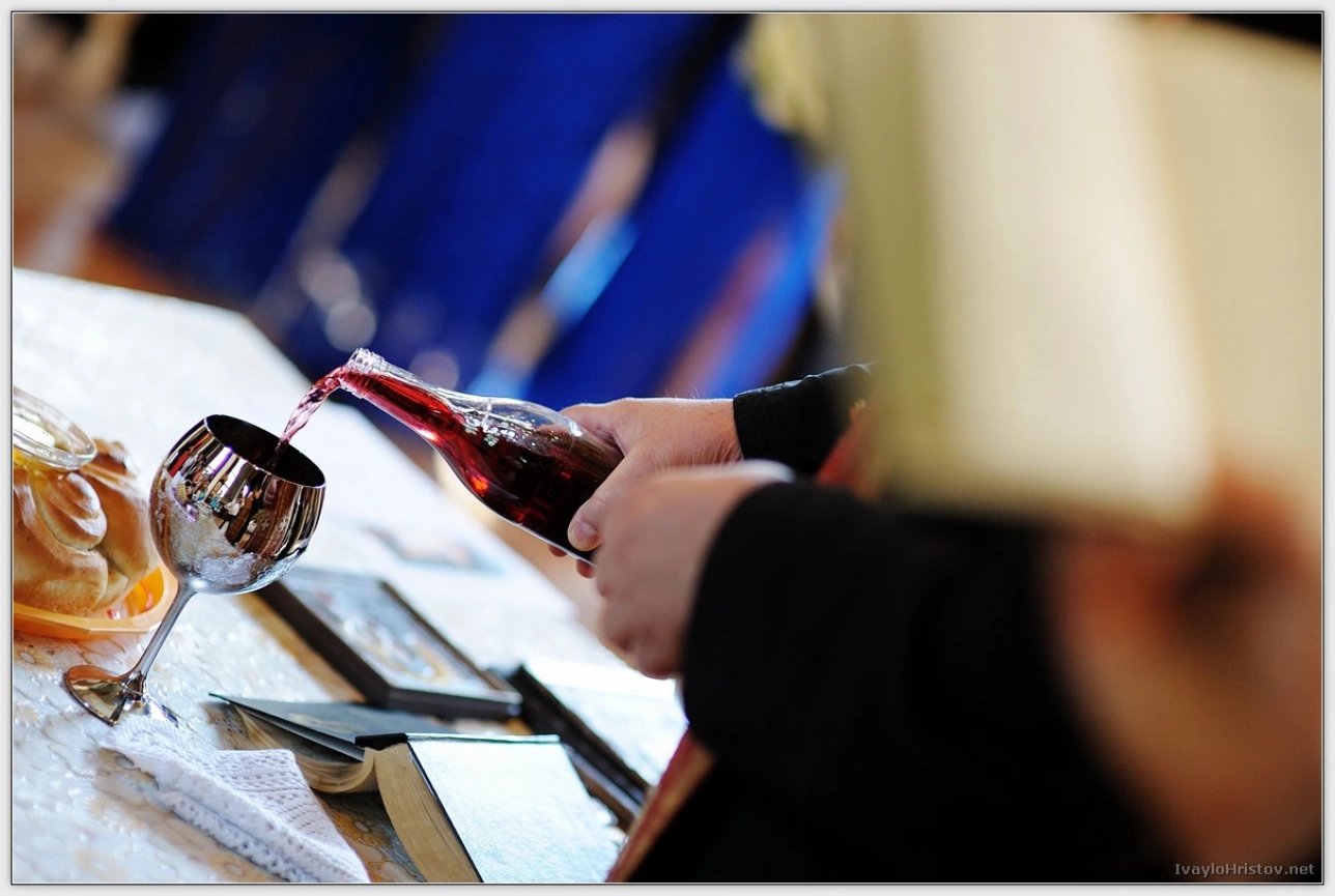 ralica-svetozar-086-2014