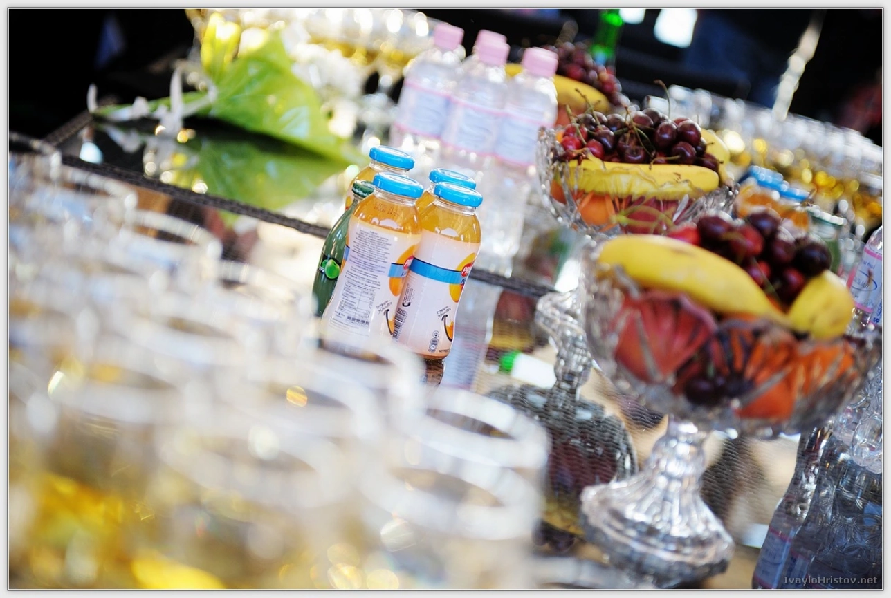 ralica-svetozar-167-2014