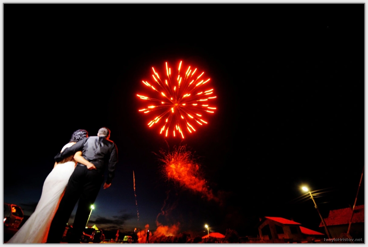 ralica-svetozar-188-2014