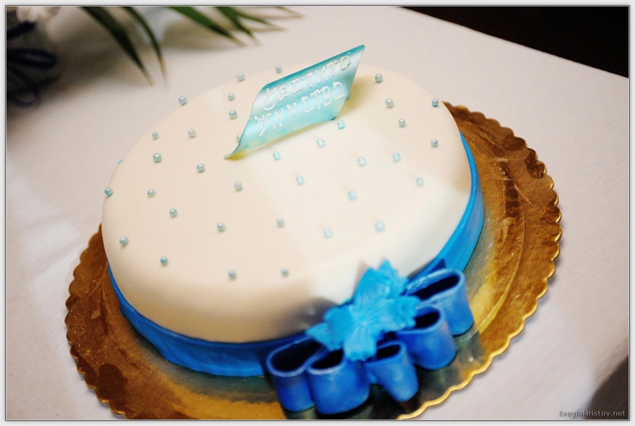 ralica-svetozar-207-2014