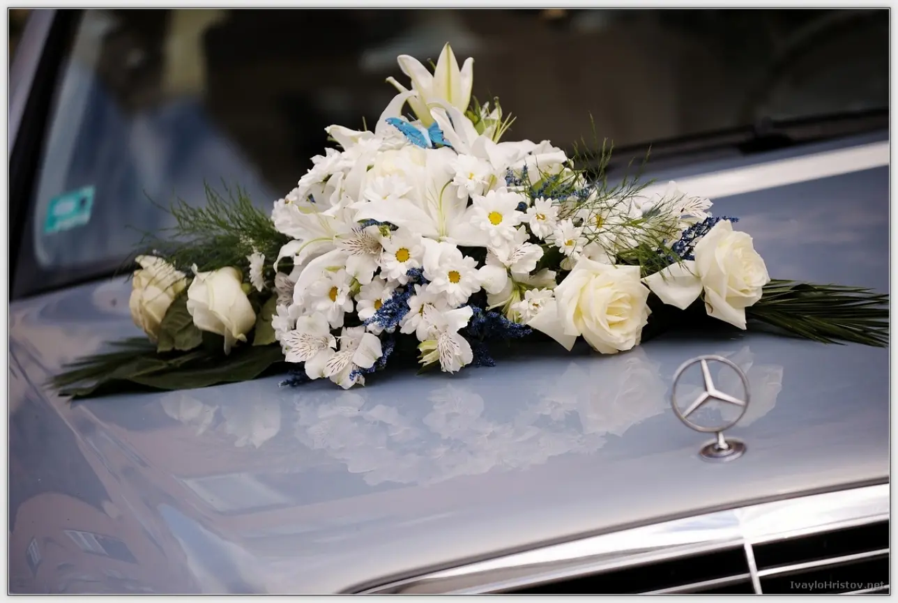 Ralica_Svetozar_039_2014