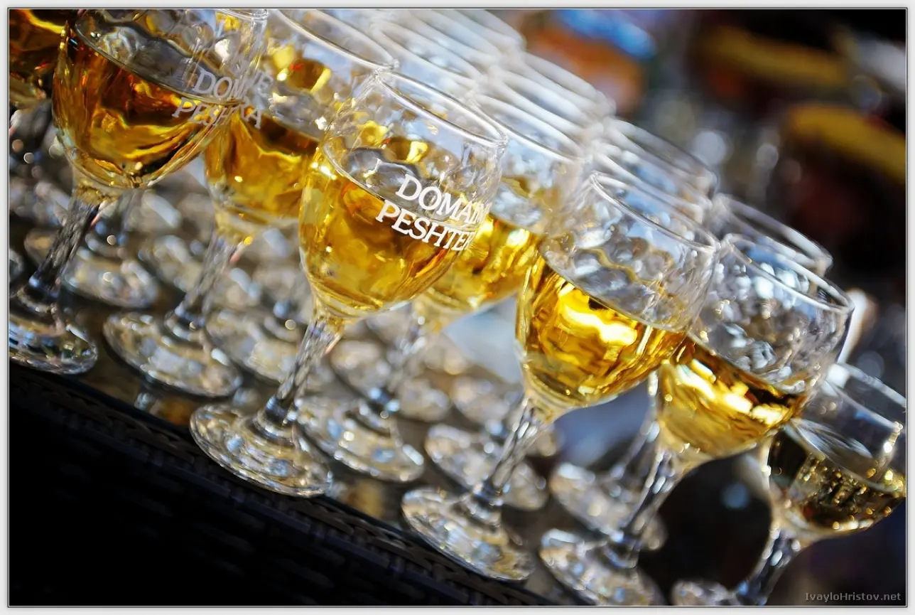 Ralica_Svetozar_168_2014