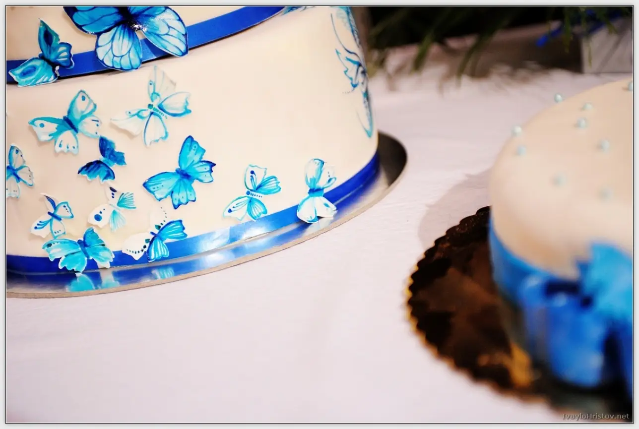 Ralica_Svetozar_210_2014