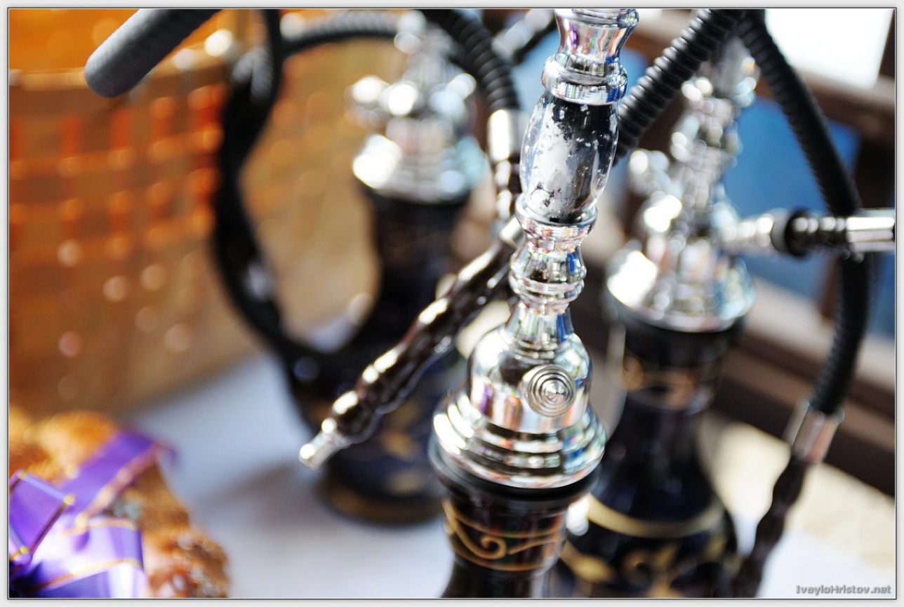 maria-stefan-003-2014