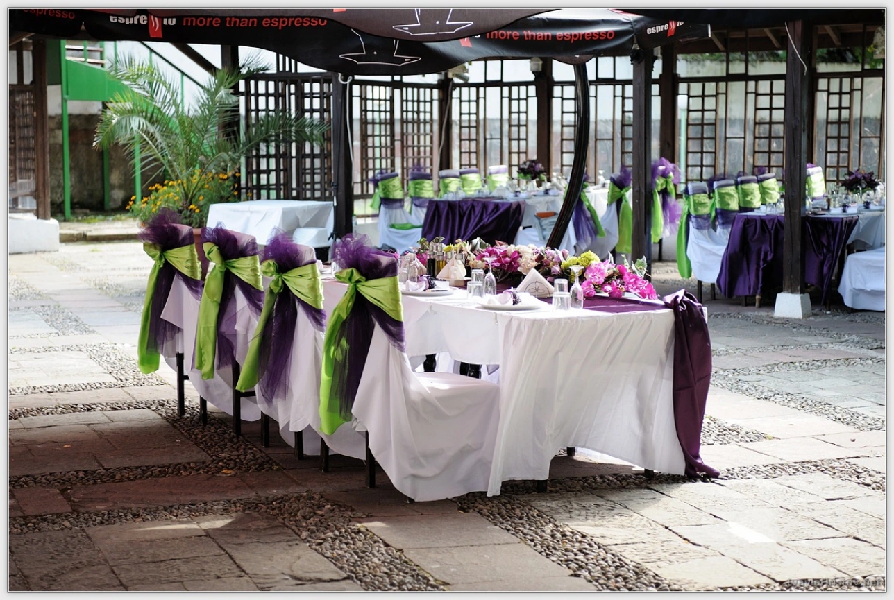 maria-stefan-014-2014