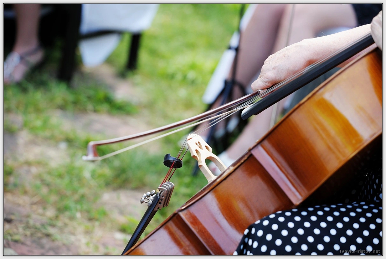 maria-stefan-042-2014