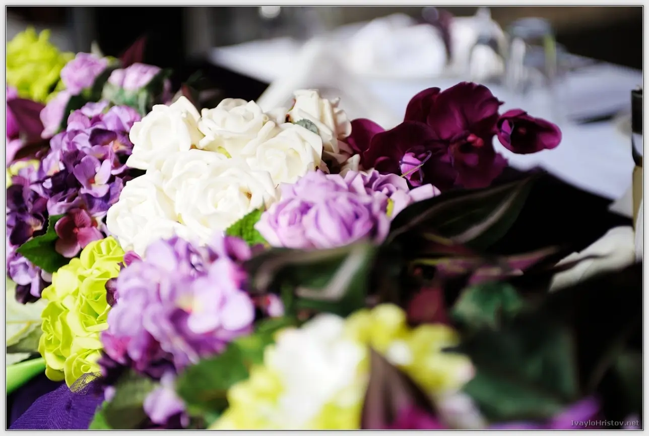 Maria_Stefan_018_2014