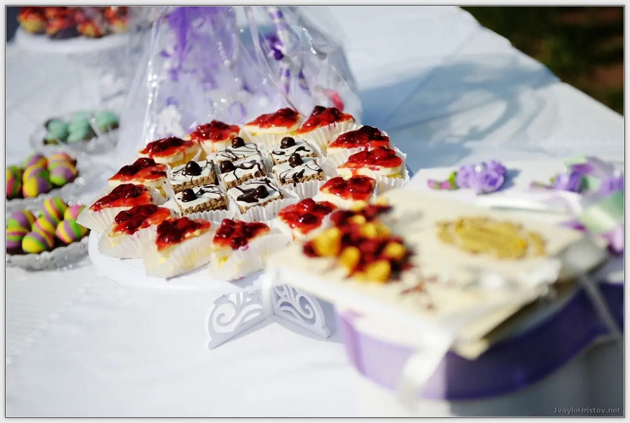 Maria_Stefan_033_2014