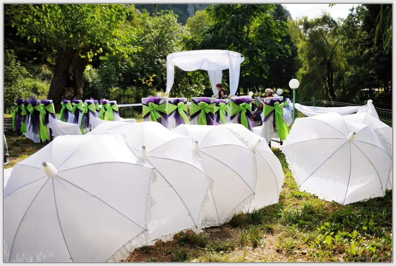 Maria_Stefan_036_2014