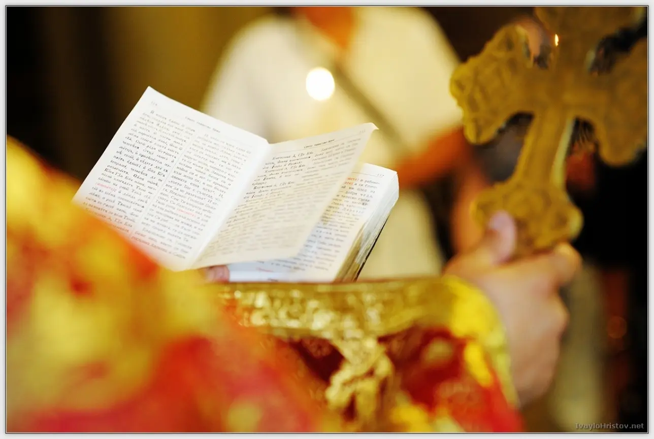 Maria_Stefan_103_2014