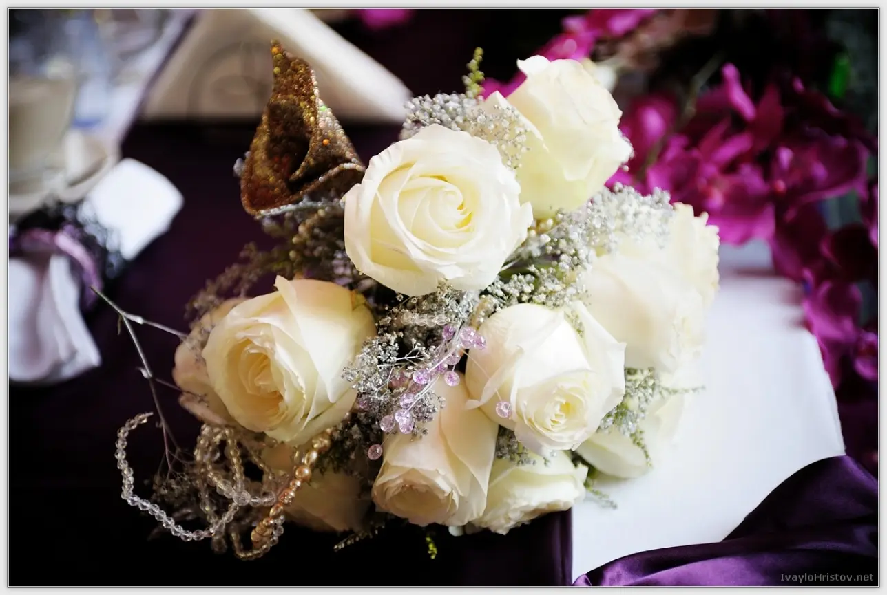 Maria_Stefan_132_2014