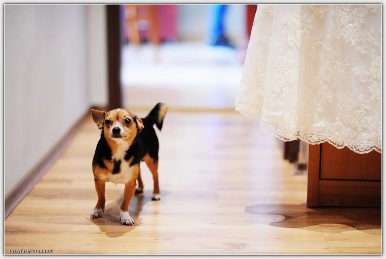 svatba svetla i martin_i002