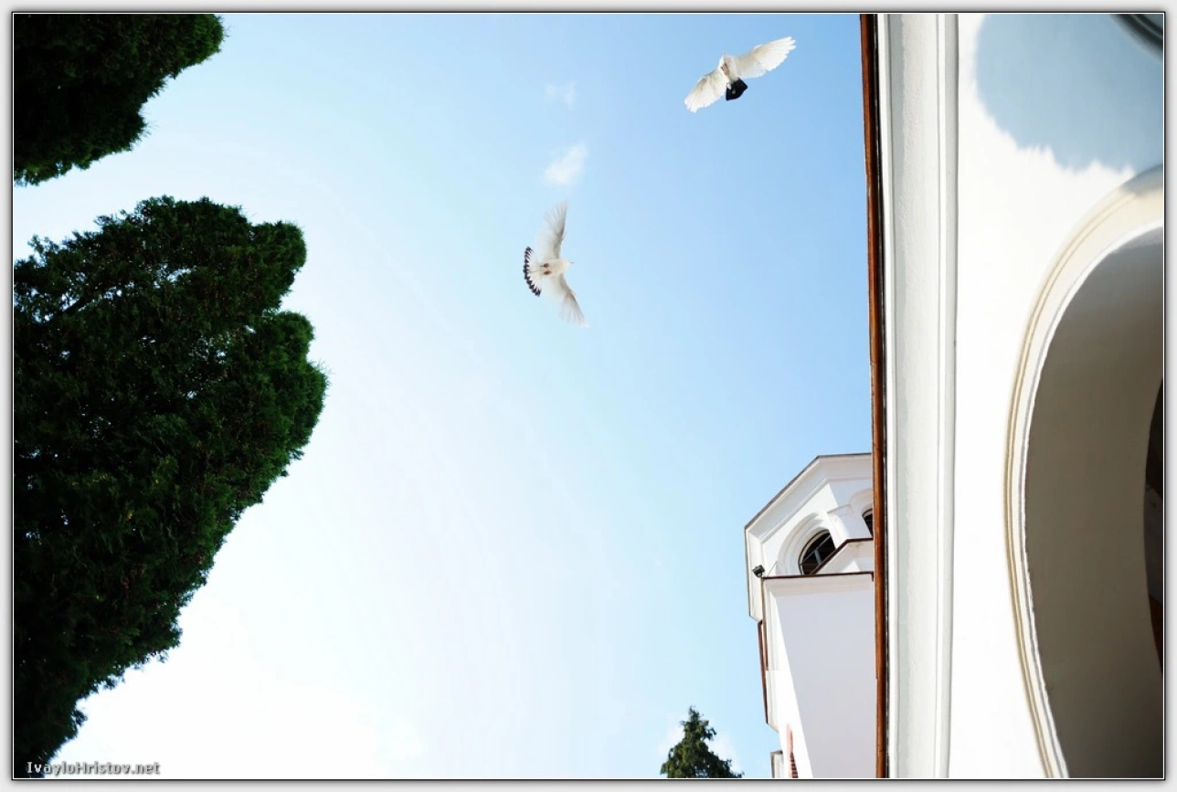 svatba-vania-krasi-0097