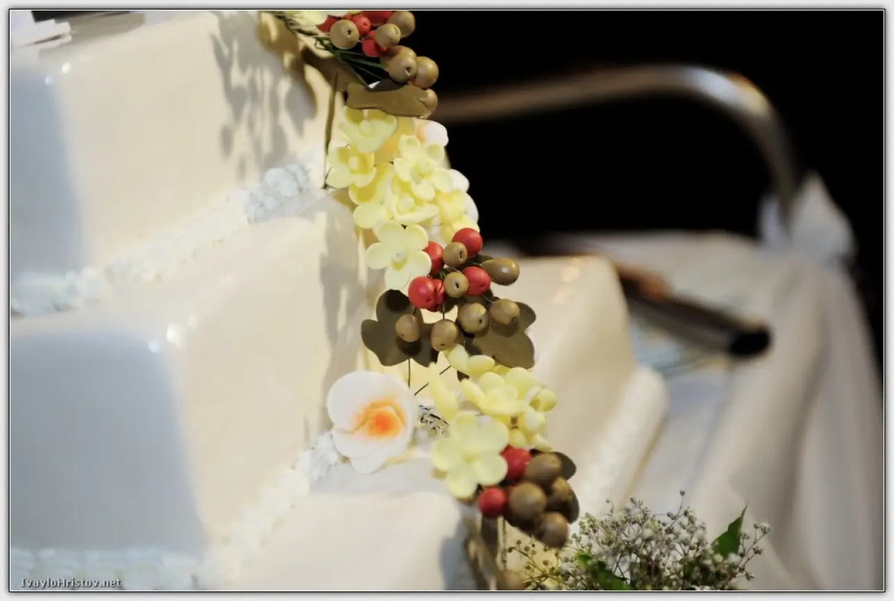 svatba_vania_krasi_0185