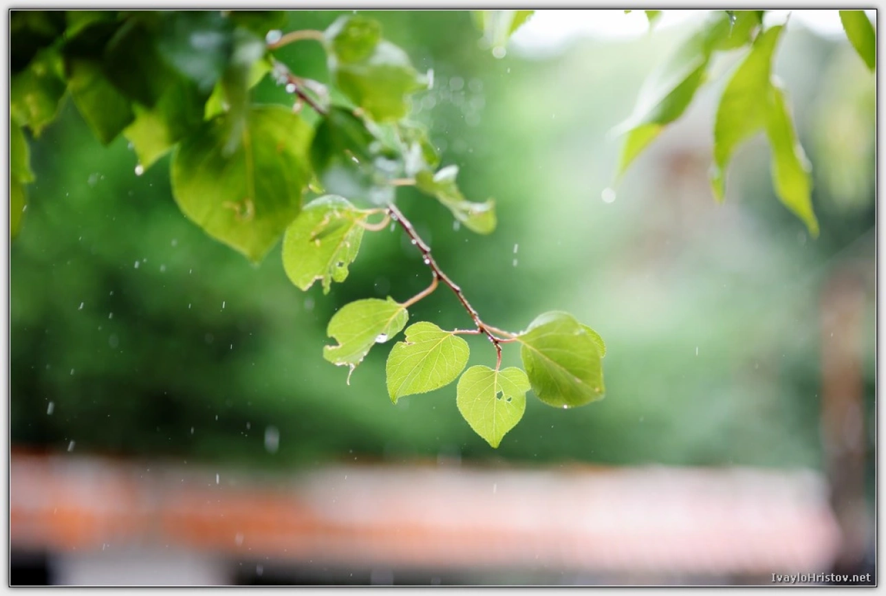 svatba-galia-ivo-0014