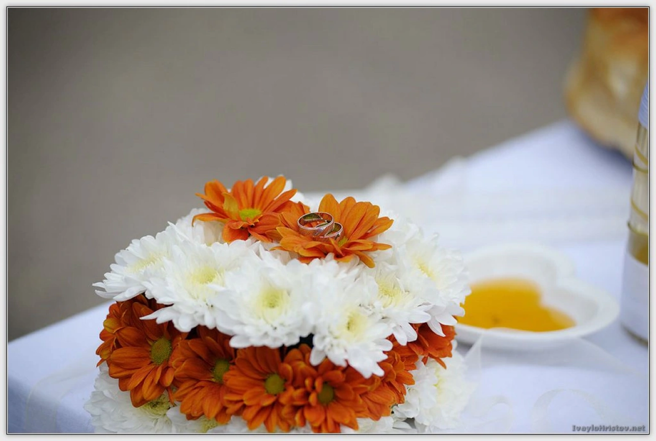 Заснемане_Монтана _0105