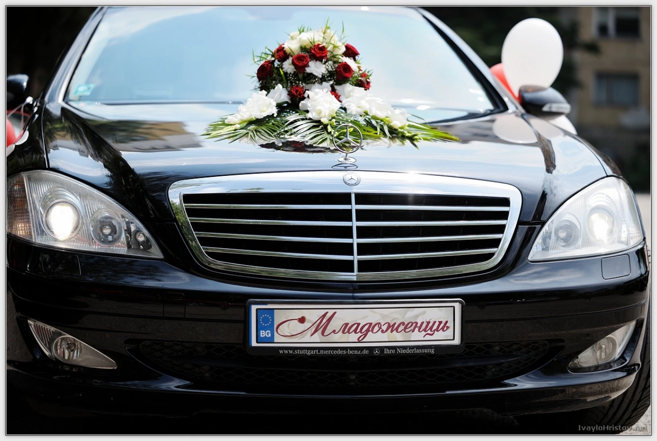 cveti-petur-014-2014