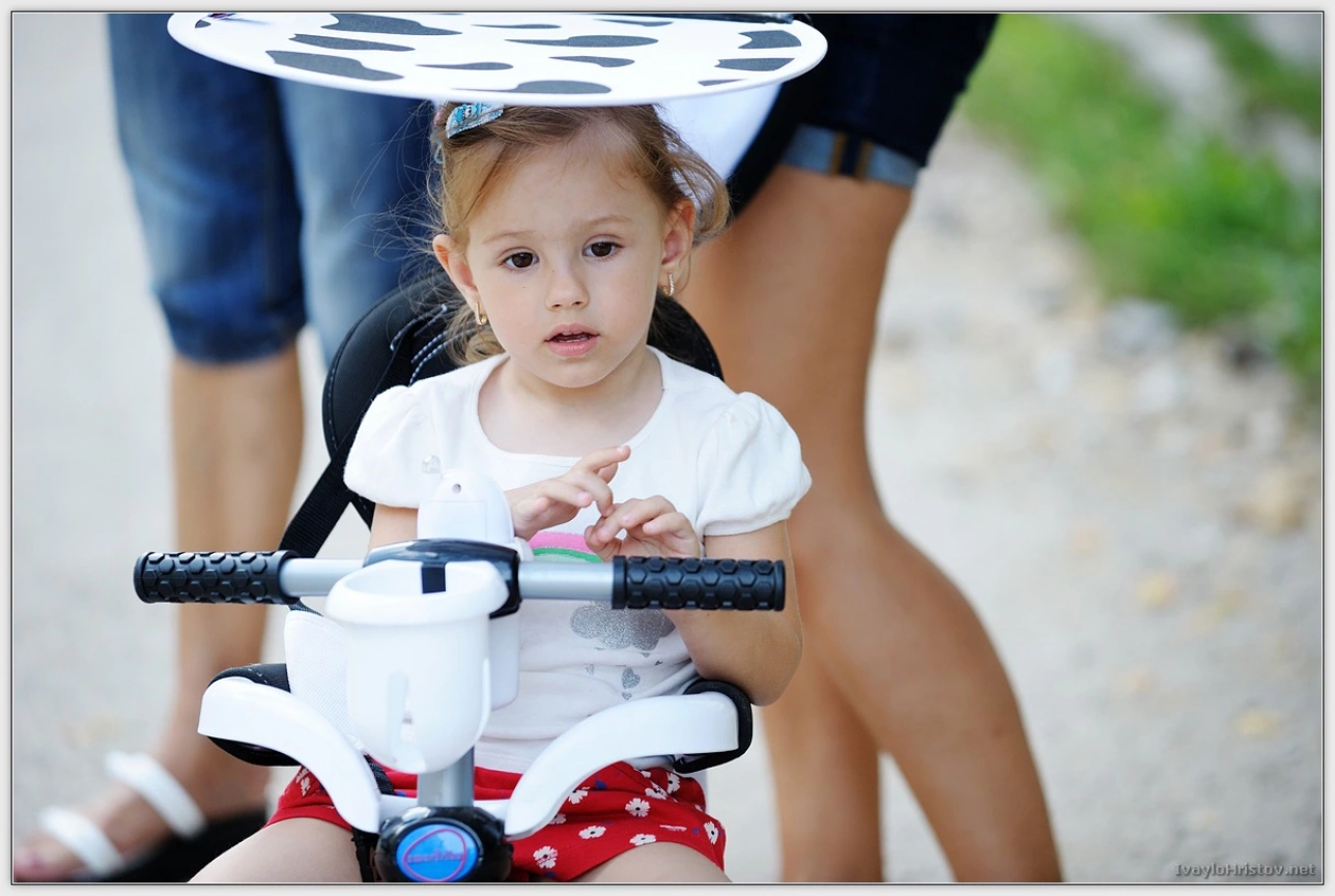 cveti-petur-055-2014