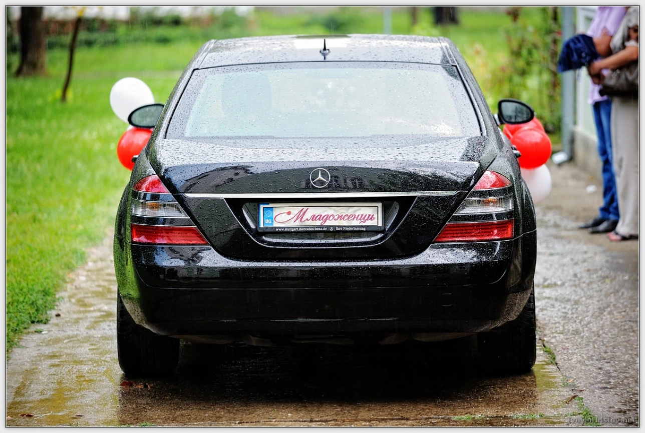 cveti-petur-106-2014