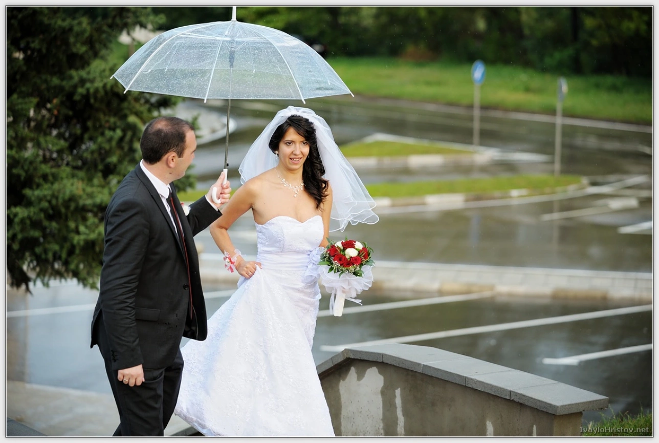 cveti-petur-108-2014