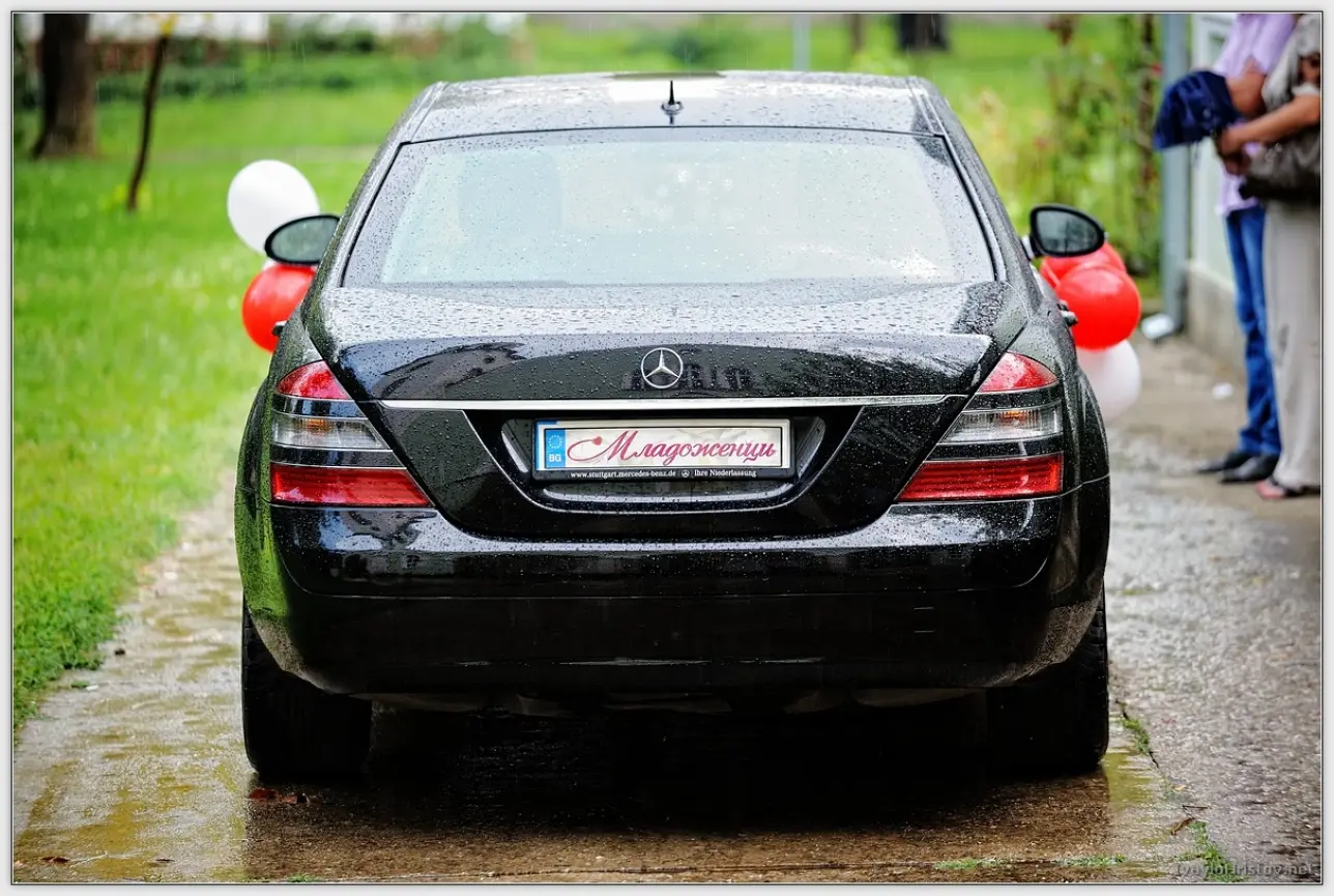 Cveti_Petur_106_2014