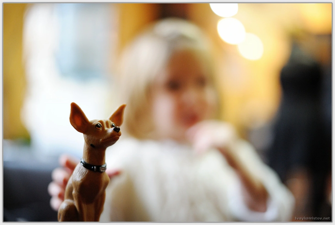 miglena-toshko-001-2014