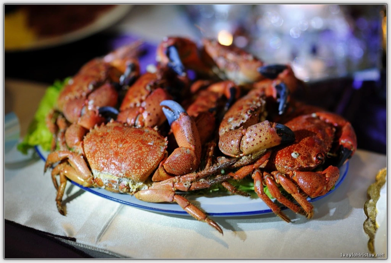 svatba-reni-i-ceci-159